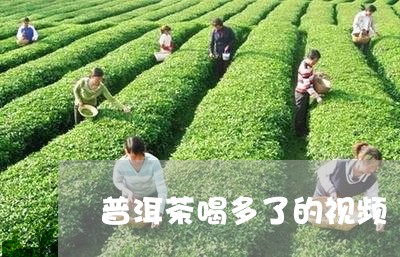 普洱茶喝多了的视频/2023120519470