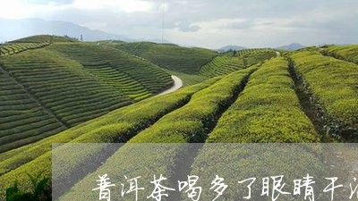 普洱茶喝多了眼睛干涩/2023100615169