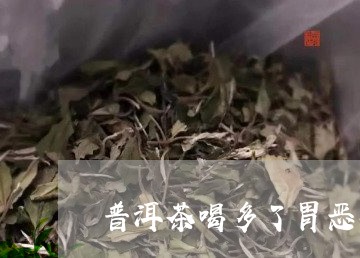 普洱茶喝多了胃恶心/2023081624946