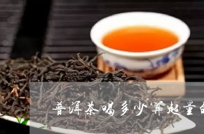 普洱茶喝多少算超量的水/2023101772926