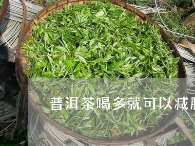 普洱茶喝多就可以减肥/2023120673057