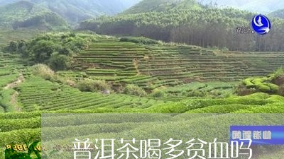 普洱茶喝多贫血吗/2023083068369