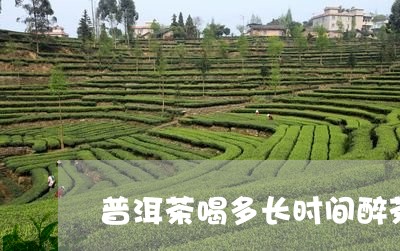 普洱茶喝多长时间醉茶/2023062145160