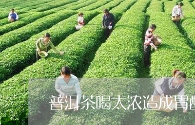 普洱茶喝太浓造成胃酸/2023080338471