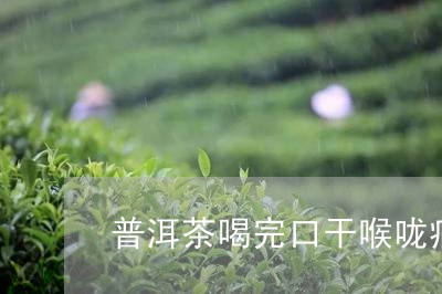 普洱茶喝完口干喉咙痛/2023062382715