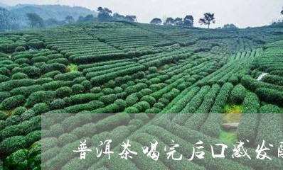 普洱茶喝完后口感发酸/2023062451582