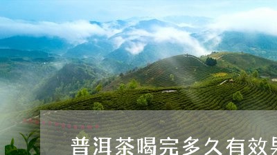 普洱茶喝完多久有效果/2023080310703