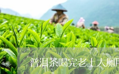 普洱茶喝完老上大厕所/2023062778692