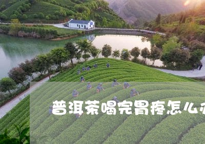 普洱茶喝完胃疼怎么办/2023062069693