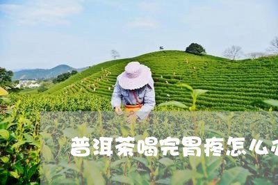 普洱茶喝完胃疼怎么办/2023093035158