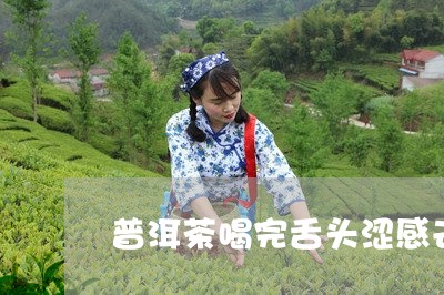 普洱茶喝完舌头涩感去不掉/2023081734924