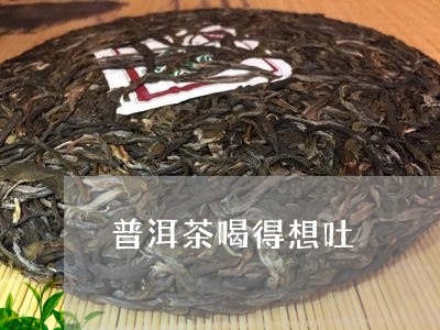 普洱茶喝得想吐/2023102676058