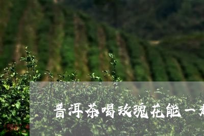 普洱茶喝玫瑰花能一起喝吗/2023051103147