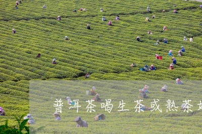 普洱茶喝生茶或熟茶好/2023080330581