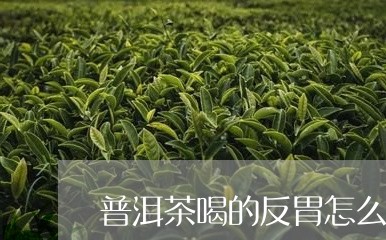 普洱茶喝的反胃怎么回事/2023103165047