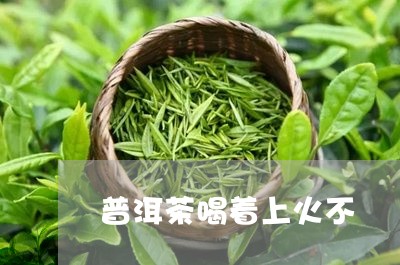 普洱茶喝着上火不/2023081659895