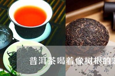 普洱茶喝着像树根的味道/2023103173060