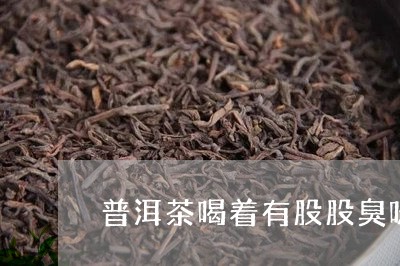 普洱茶喝着有股股臭味/2023093033037