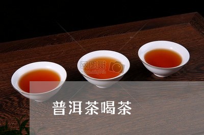 普洱茶喝茶/2023090584257