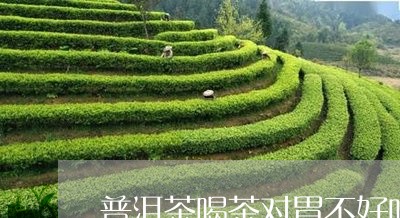 普洱茶喝茶对胃不好吗/2023062454917