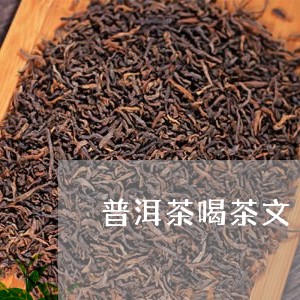 普洱茶喝茶文/2023042924603