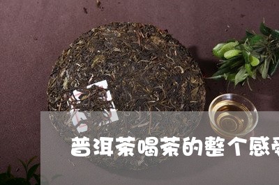 普洱茶喝茶的整个感受/2023080370602