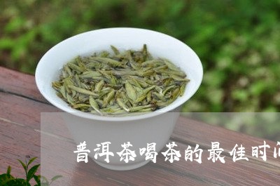 普洱茶喝茶的最佳时间/2023100675039