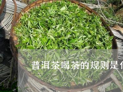 普洱茶喝茶的规则是什么/2023112856340