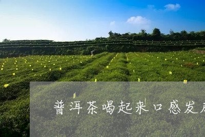 普洱茶喝起来口感发麻/2023093002736