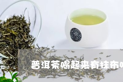 普洱茶喝起来有抹布味/2023093038461