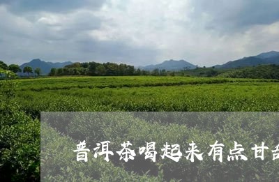 普洱茶喝起来有点甘甜/2023092849370