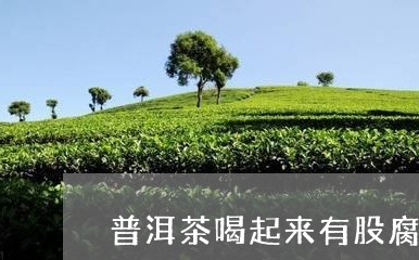 普洱茶喝起来有股腐烂味/2023103131692