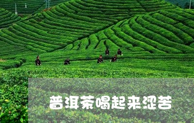 普洱茶喝起来涩苦/2023082630403