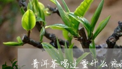 普洱茶喝过量什么症状/2023100810694