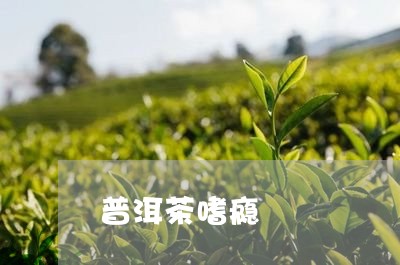 普洱茶嗜瘾/2023102552605