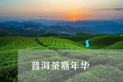 普洱茶嘉年华/2023042794259