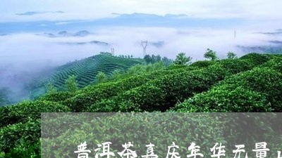 普洱茶嘉庆年华无量山/2023100613716