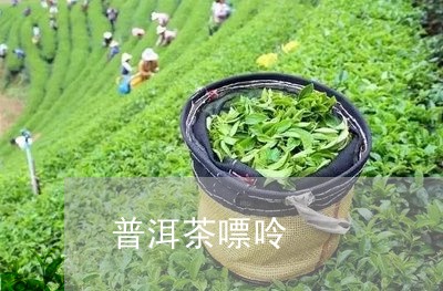 普洱茶嘌呤/2023090626052