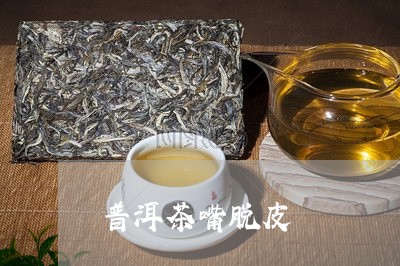 普洱茶嘴脱皮/2023042685839