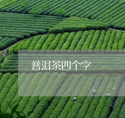 普洱茶四个字/2023090691714