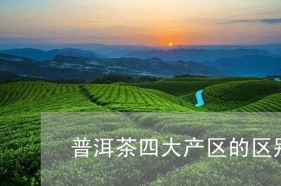 普洱茶四大产区的区别在哪/2023112806948