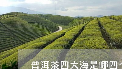 普洱茶四大海是哪四个/2023062894037