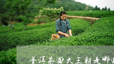 普洱茶四大王朝是哪四个/2023120718562