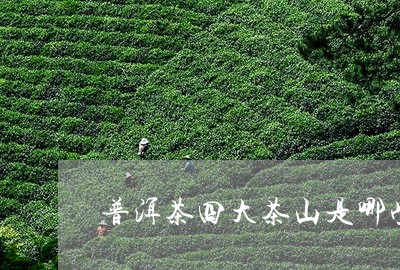 普洱茶四大茶山是哪些/2023061683926