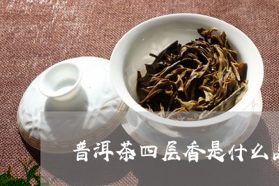 普洱茶四层香是什么品种/2023050481594