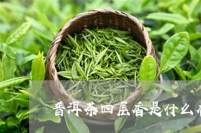 普洱茶四层香是什么香调/2023083093816