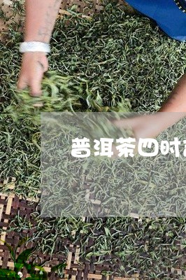 普洱茶四时吉祥图片/2023120536248