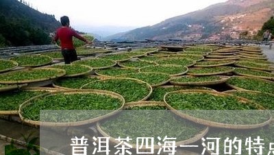 普洱茶四海一河的特点/2023081673824