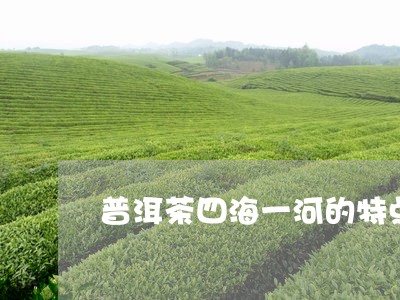 普洱茶四海一河的特点/2023101719486