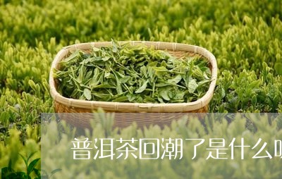 普洱茶回潮了是什么味/2023073198059